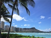 AB-331 【楽園のコーヒー】ハワイ・モロカイとブルーマウンテン各75g(挽き)