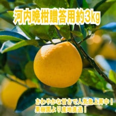 河内晩柑　約3kg【1481243】