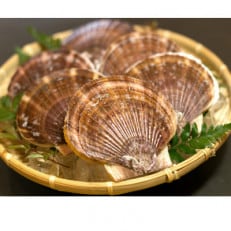 【数量限定~12/31まで受付!】岩手 野田村 荒海ホタテ 1kg(8~10枚入り)殻付き ヘラ付き【配送不可地域:離島・北海道・沖縄・関東・信越、北陸・東海・近畿・中国・四国・九州】【1584897】