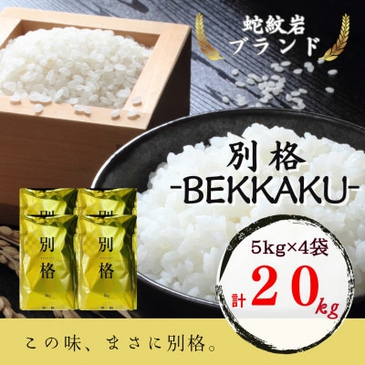 【毎月定期便】蛇紋岩ブランド 別格米 20kg(5kg×4)全12回【4071057】