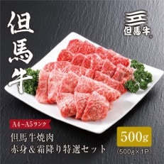 【但馬牛】焼肉 赤身&霜降り 特選セット500g【配送不可地域:離島】【1313161】