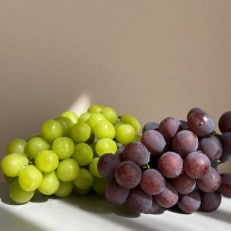 養父市産完熟ぶどうセット【配送不可地域：離島】【1344998】