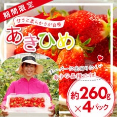 「内山いちごの国」のいちご4パック入り【配送不可地域：離島】【1346272】