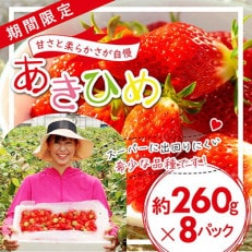 「内山いちごの国」のいちご8パック入り【配送不可地域：離島】【1346261】