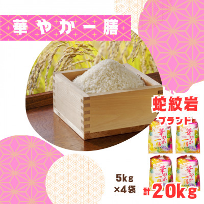 2025年9月以降発送【蛇紋岩ブランド　華やか一膳20kg】【1451000】