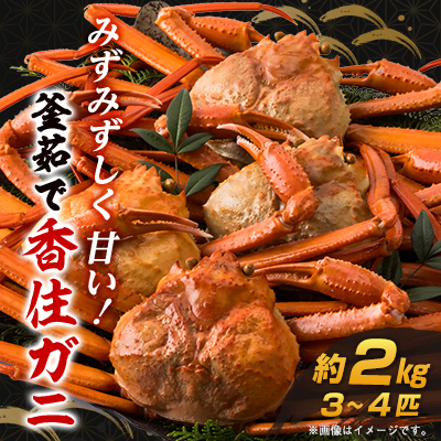 兵庫県香住産 釜茹で香住ガニ(紅ズワイガニ)3~4匹入(約2kg)【9月中旬以降発送】【配送不可地域:離島・北海道・沖縄・東北・九州】【1399219】