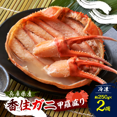 香住ガニ 甲羅盛り 約250g×2個【配送不可地域:離島】【1531254】