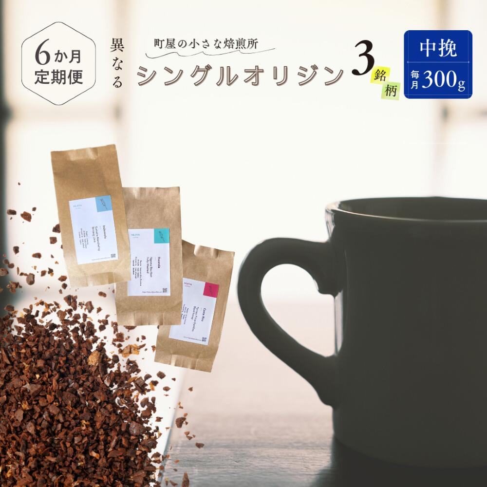 【定期便:6ヶ月連続でお届け】シングルオリジンコーヒー 100g × 3品種(中挽き)計300g×6ヶ月 1075016 コーヒー 珈琲 粉