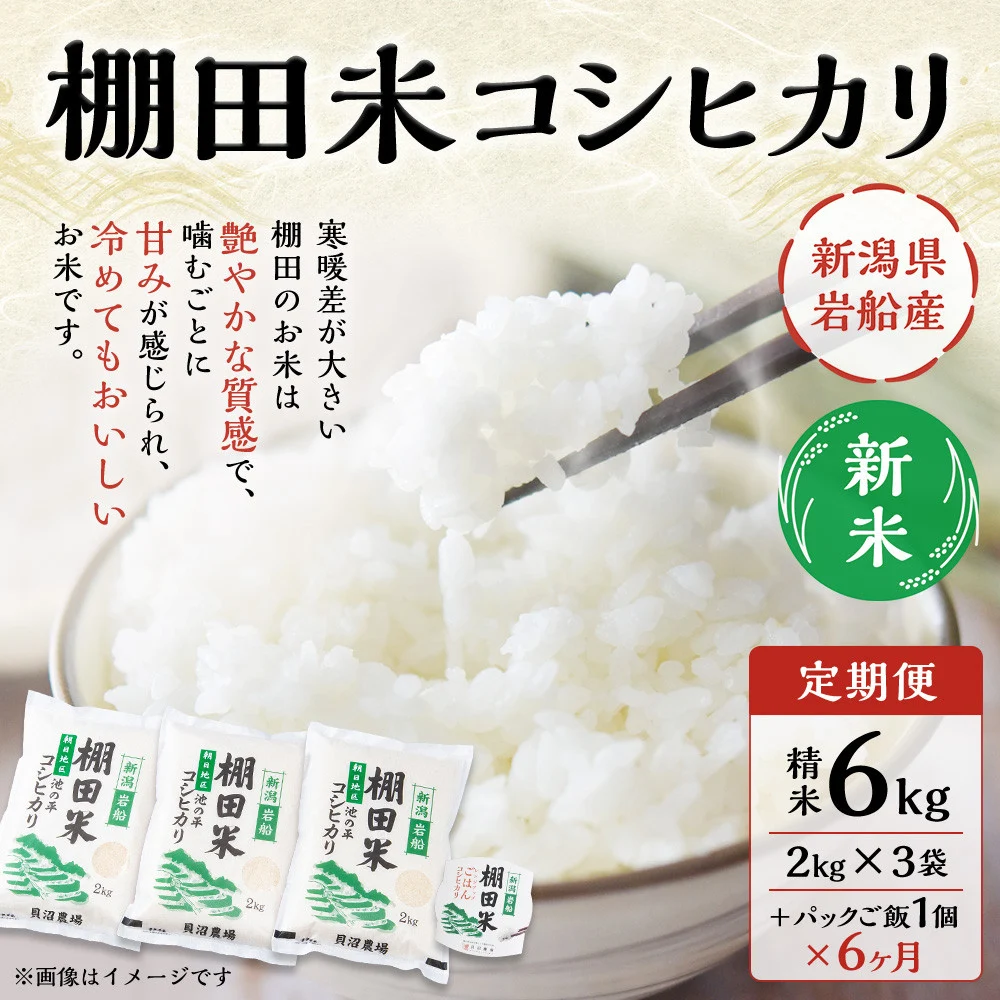 【新米受付・令和7年産米】【定期便:6ヶ月連続でお届け】新潟県岩船産 棚田米コシヒカリ 6kg(2kg×3袋)+パックごはん(150g×1個) ×6ヶ月 1067115N 毎月 新米予約 お米 白米 こしひかり 精米 村上市