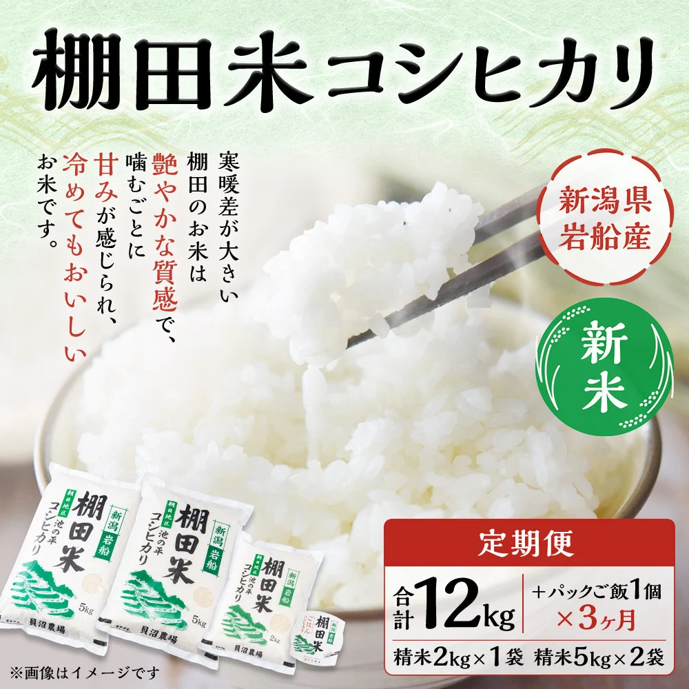 【新米受付・令和7年産米】【定期便:3ヶ月連続でお届け】新潟県村上市岩船産 棚田米コシヒカリ 12kg+パックごはん(150g×1個)×3ヶ月 1067118N 毎月 新米予約 お米 白米 こしひかり 精米 村上市
