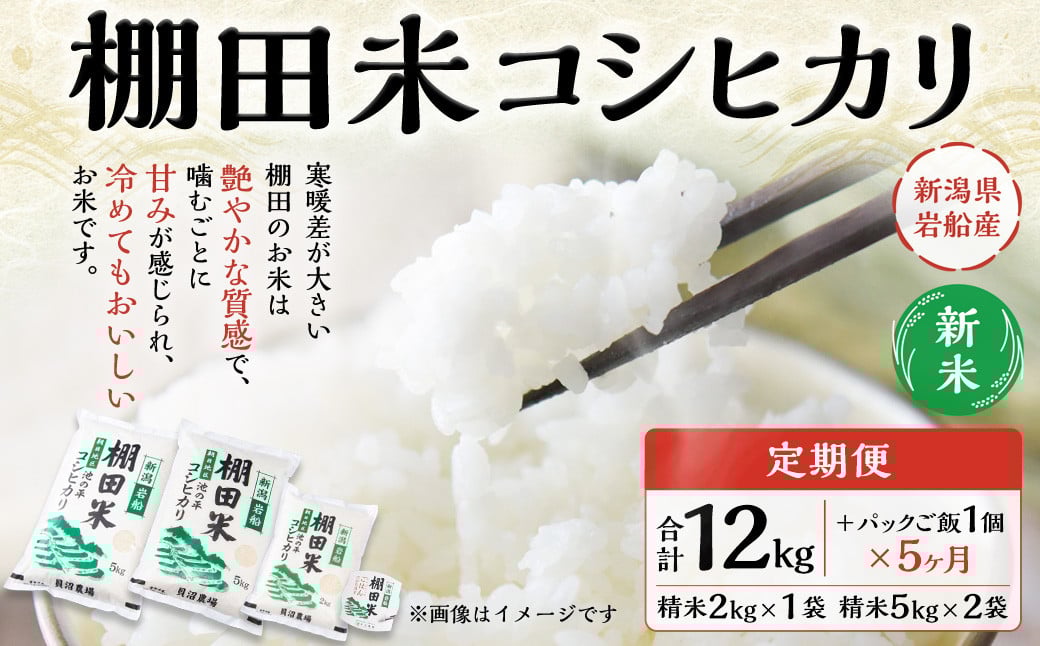 【新米受付・令和7年産米】【定期便:5ヶ月連続でお届け】新潟県村上市岩船産  棚田米コシヒカリ 12kg+パックごはん(150g×1個)×5ヶ月 1067120N 毎月 新米予約 お米 白米 こしひかり 精米 村上市