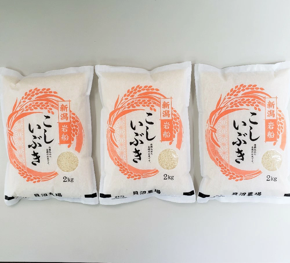 【令和7年産米】 こしいぶき 白米6kg（2kg×3） 新潟県村上市岩船産　1067102