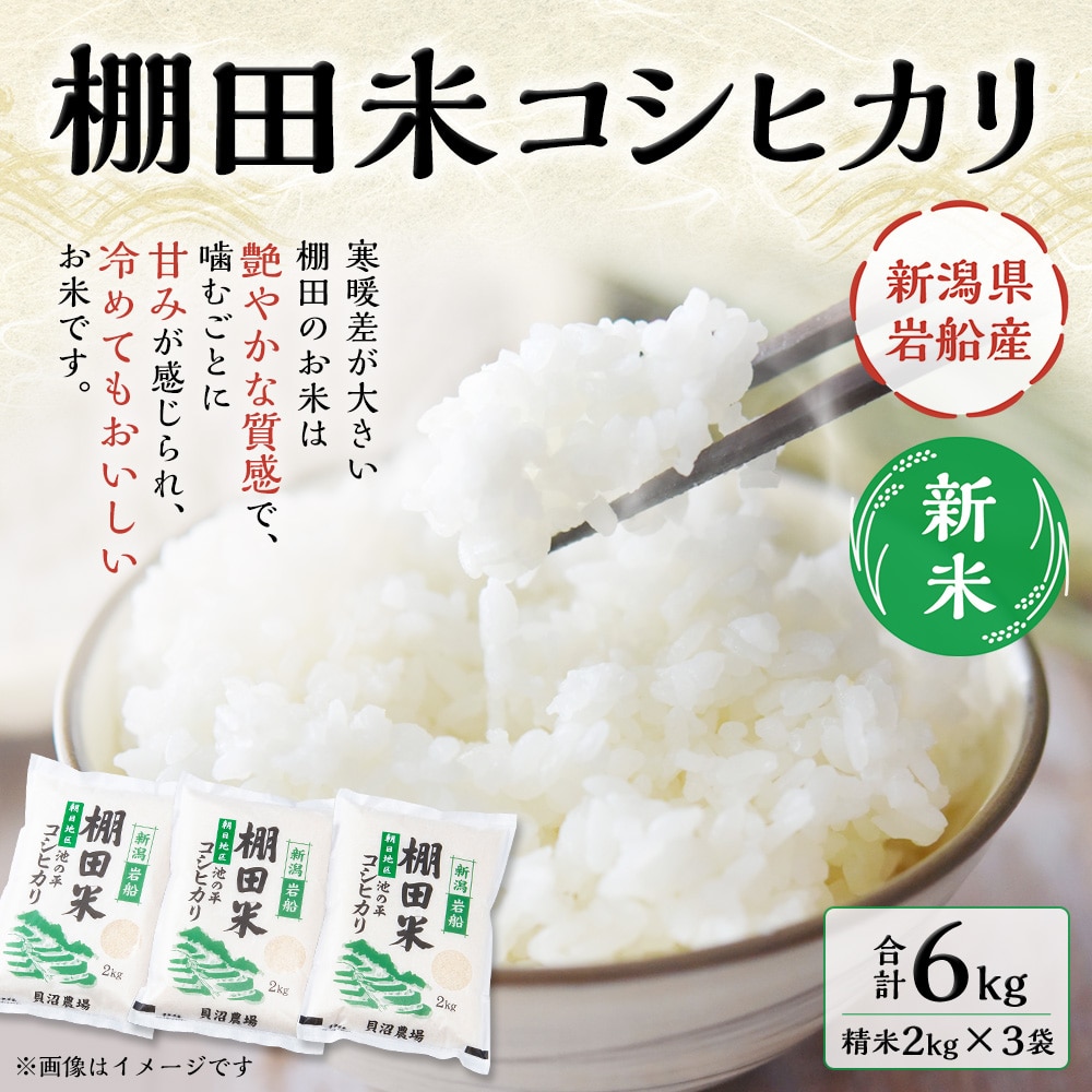 【新米受付・令和7年産米】 NA4184 新潟県村上市岩船産　棚田米コシヒカリ6kg