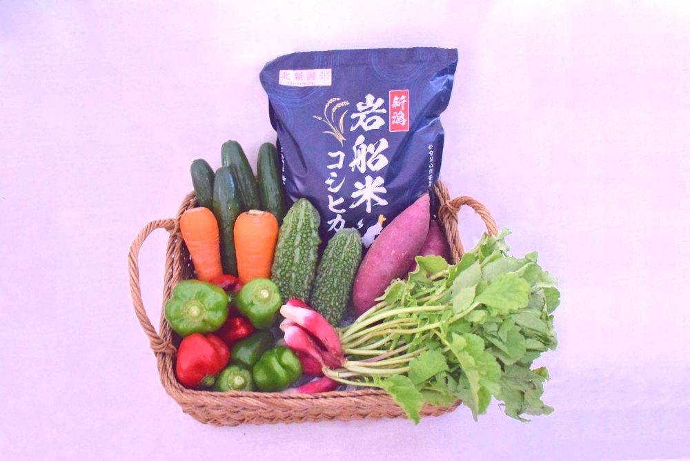 【令和7年産米】新潟県村上市岩船米コシヒカリ2kgと季節の野菜セット①　A4031
