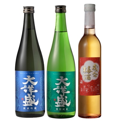 大洋盛セットJ 飲み比べセット 3本 720ml×2本 500ml×1本 大洋酒造 新潟県 地酒 清酒 [AB4032]