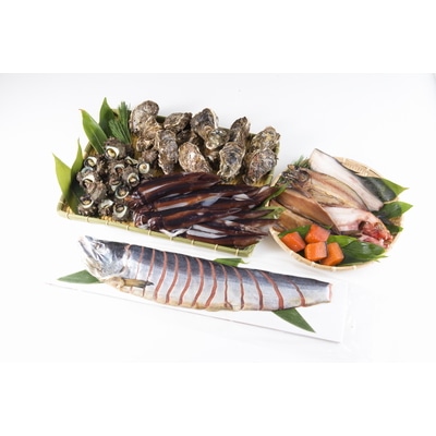 F4021 【年3回お届け】【2月より順次発送】旬の地魚と手造りおまかせ干物と塩引鮭半身のセット