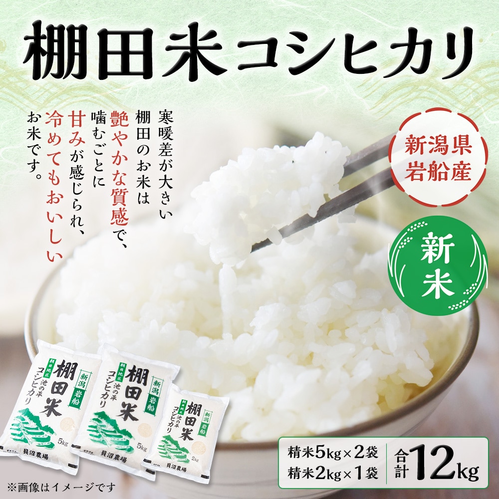 【新米受付・令和7年産米】NB4107 新潟県村上市岩船産　棚田米コシヒカリ12kg