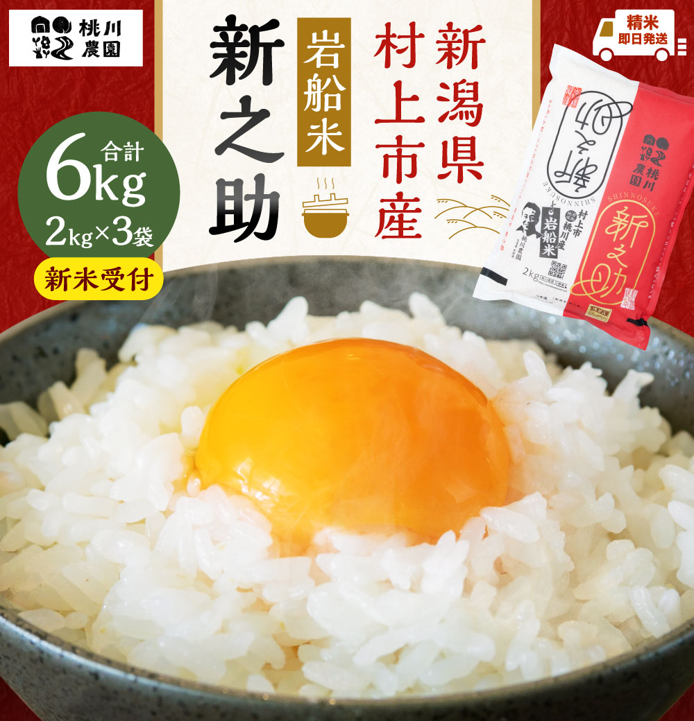 【新米受付・令和7年産米】NA4100 新潟県村上市産 新之助 6kg