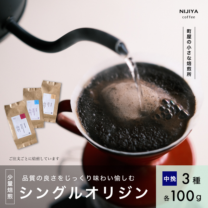 高品質 シングルオリジン コーヒー 飲み比べ 3種×各100g 【 中挽きコーヒー豆 】AB4043