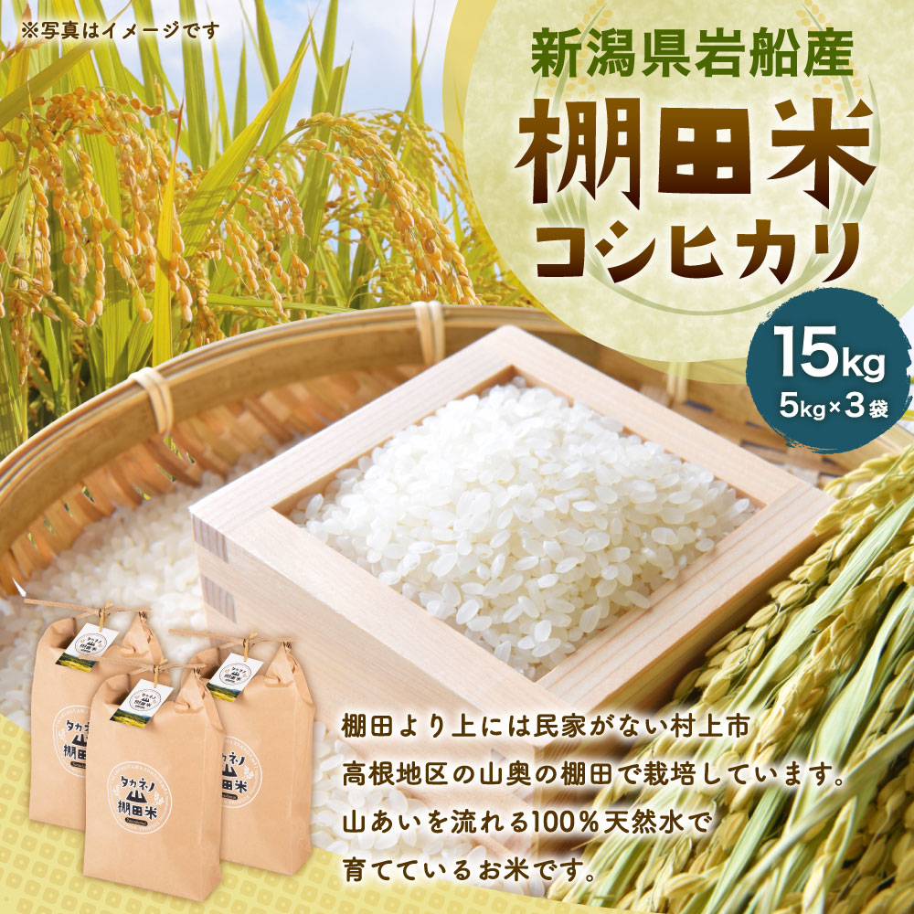 【令和7年産米】新潟県村上市 岩船産 棚田米 コシヒカリ 15kg（5kg×3）　C4017