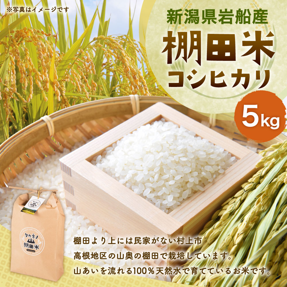 【令和7年産米】新潟県村上市 岩船産 棚田米 コシヒカリ 5kg　A4038