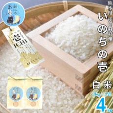 熊本県南阿蘇村産 令和7年産 特別栽培米 いのちの壱(白米) 計4kg(2kg×2袋)【虹色のかば】【1577906】