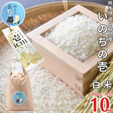 熊本県南阿蘇村産 令和7年産 特別栽培米 いのちの壱(白米) 10kg×1袋【虹色のかば】【1577911】