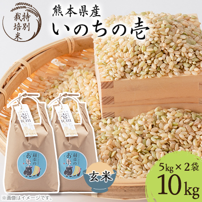 熊本県南阿蘇村産 令和7年産 特別栽培米 いのちの壱(玄米) 計10kg(5kg×2)【虹色のかば】【1577916】