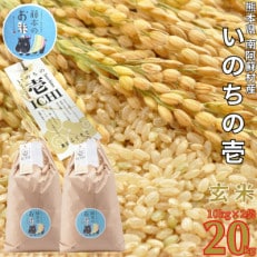 熊本県南阿蘇村産 令和7年産 特別栽培米 いのちの壱(玄米) 10kg×2袋【虹色のかば】【1577917】