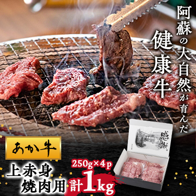 【白水乃蔵】あか牛 上赤身焼肉用 1kg(250g×4)【配送不可地域:離島】【1129145】