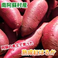 訳あり 熟成紅はるか 約10キロ 不揃い 蜜芋 (南阿蘇村)【1344022】