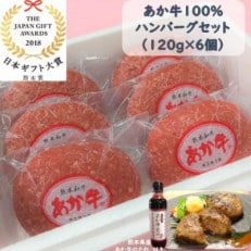 あか牛100%ハンバーグセット(あか牛ハンバーグ120g×6個 あか牛のたれ200ml)(南阿蘇村)【配送不可地域：離島】【1431615】