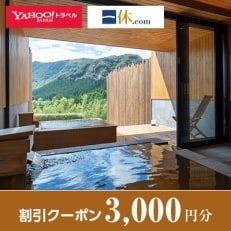 【熊本県南阿蘇村】一休.com・Yahoo!トラベル割引クーポン(3,000円分)【1146448】