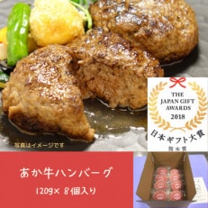あか牛ハンバーグ 120g×8個入り(南阿蘇村)【配送不可地域:離島】【1476982】