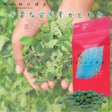 サプリ モリンガ Rebody 飲むサラダ【Rebody】【1562803】