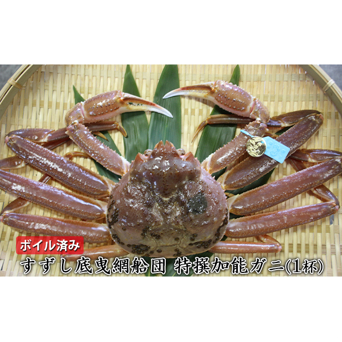 【納品日指定不可】すずし底曳網船団 特撰加能ガニ（1杯）　ボイル済み