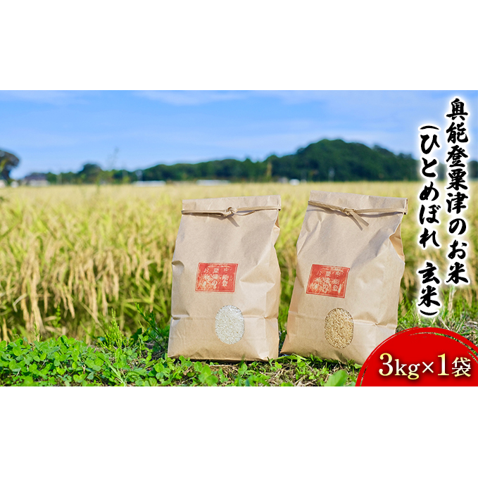 【令和7年度産】奥能登粟津のお米（ひとめぼれ　玄米）3kg×1袋 