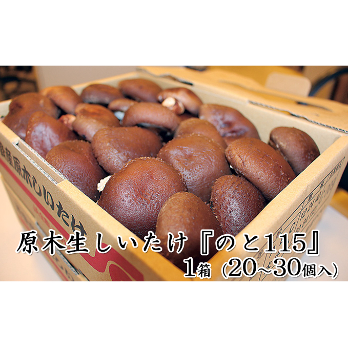 原木生しいたけ「のと115」1箱（20～30個入） 野菜 きのこ 