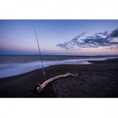 川でも海でも好きな場所で-魚釣り体験-(4月～11月)「1組1名様 約3時間 完全プライベート制!」【1572436】