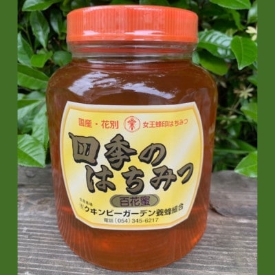 国産天然ハチミツ 2kg【1622834】