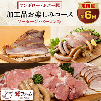 【毎月定期便】北海道十勝産 ホエー豚 ソーセージ・ベーコン等 特製加工品コース 全6回【配送不可地域:離島】【4010967】