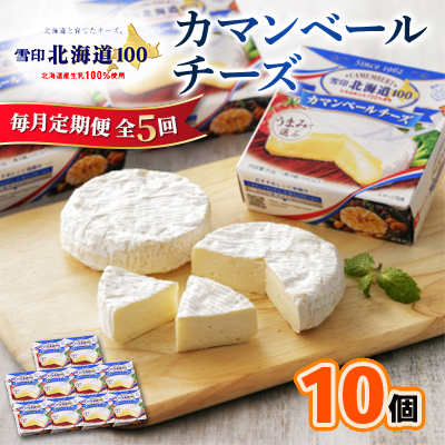 【毎月定期便】雪印北海道 カマンベールチーズ 1箱(90g×10個入り)全5回【配送不可地域:離島】【4014033】