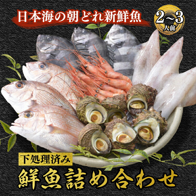 魚介類 鮮魚 / 能登の能登の朝どれ「いきいき七尾魚」鮮魚詰め合わせ(2〜3人前) ※北海道・青森・沖縄・離島及び九州(福岡県を除く)