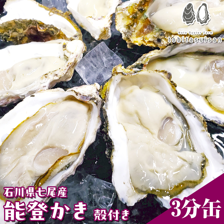 飛田水産　石川県七尾産　能登かき　殻付き3分缶｜牡蠣　専用ナイフ 牡蠣 かき カキ 能登の里山里海 石川県七尾市 能登半島　※要加熱 ※2026年1月上旬～5月下旬頃に順次発送予定 ※北海道・沖縄・離島への発送不可