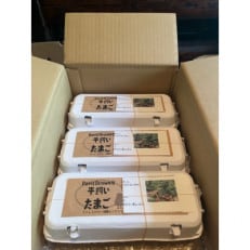 津山市産・平飼い卵25個+割れ保証5個【1486349】