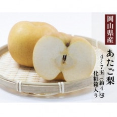 岡山県産 あたご梨 4～7玉(約4kg) 化粧箱入り【配送不可地域：離島・北海道・沖縄】【1499107】