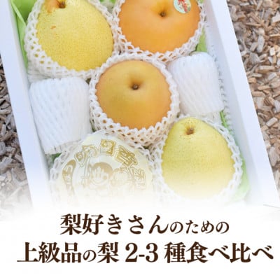 【きよとうファーム】梨好きのための、梨2-3種 食べ比べ 上級品 5-7玉(岡山県産)【1559796】