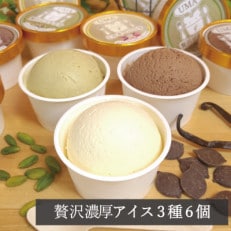 アイス職人の作るこだわりアイスクリーム3種6個セット 各90ml入り ピスタチオ チョコ バニラ【配送不可地域:離島】【1577221】
