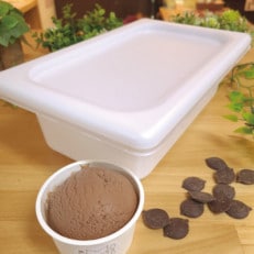 アイス職人の作るこだわり チョコ アイスクリーム 業務用 2リットル入り【配送不可地域:離島】【1577227】