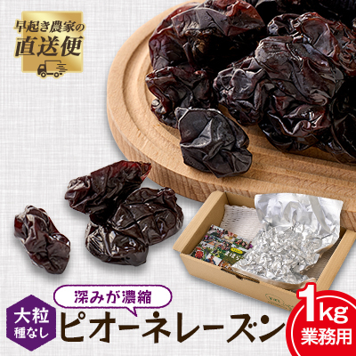 業務用ピオーネレーズン 1キロ【1596191】